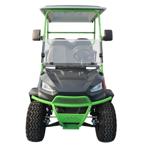 Rear Hub Motor 48V Lithium Battery Golf Cart with Audio System 6 Passenger Modern Style