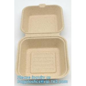 Dishes & Plates Dinnerware Blister packaging Resturant Disposable Food Serving