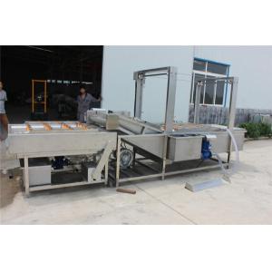 raisin washing drying line, raisin cleaning machine, raisin drying machine