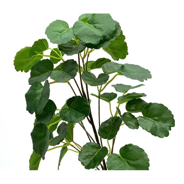 Greenery Polyscias Balfouriana Plastic Tree Branches 65 Cm 70 Cm Indoor Decor