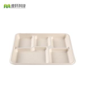 biodegradable tableware Rectangle 5 division meal snack Tray