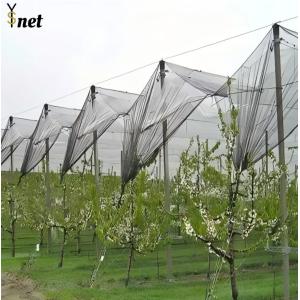 Durable Anti Hail Net 50m 100m Bird Netting For Grape Vines And Apple Tree