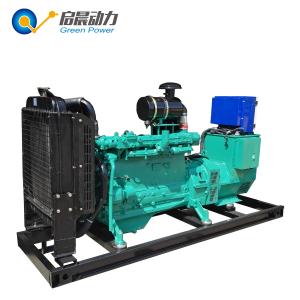 LPG Biogas Generator Set