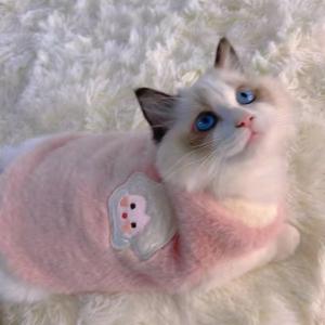 Fashion And Textile Joyful Style Pet Vests Clothing For Pets Quality Clothes For