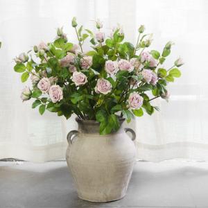 5 Heads England Roses