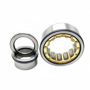 20*47*14mm NUP204EM Cylindrical Roller Bearing for High Precision Applications