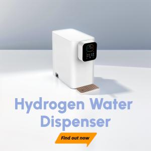 High Purity Hydrogen Water Machine With DuPont Proton Membrane WEIZI