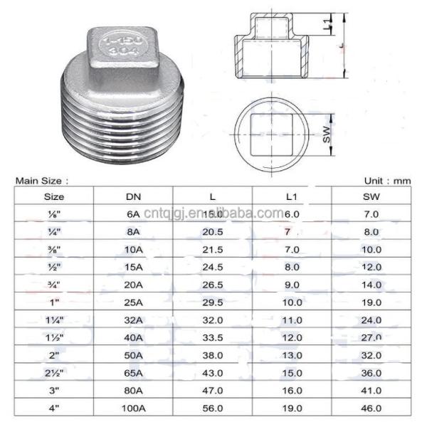 Customized Support Stainless Steel 304 316 Casting Male and Female Threaded Pipe Fitting for Plumbing Connection Nipple