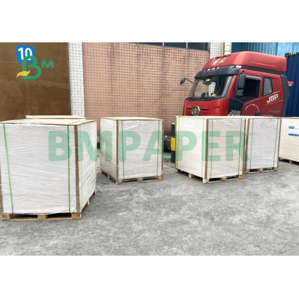 12PT 14PT Gloss C1S Cover For Pharmaceutical Box 30 x 40 inch High Stiffness