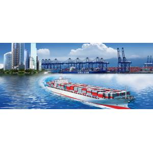 China DDP Cargo Ship From China To Australia on sale