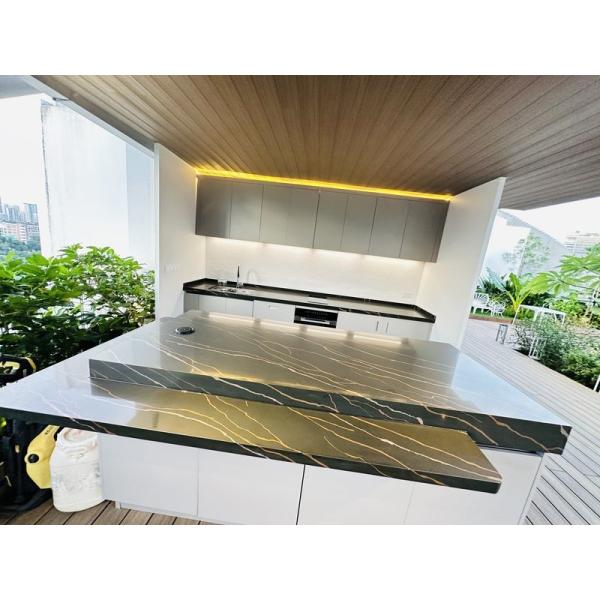 Minimalist Stainless Steel Outdoor Kitchen Cabinet Units With Black Quartz Countertops Island