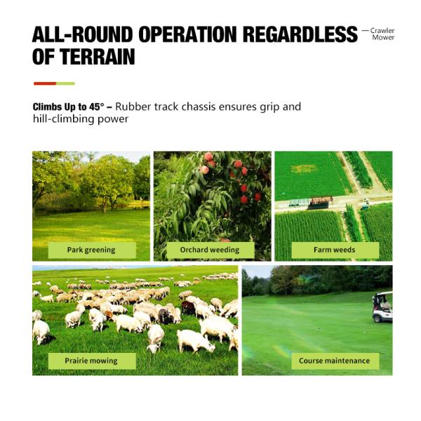 Best Industrial Ride on Zero Turn Mower 52 Cutting Width Hydraulic Steering Commercial Lawn Care Equipment Sale