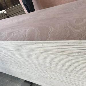 WBP Glue Sapele Faced Plywood