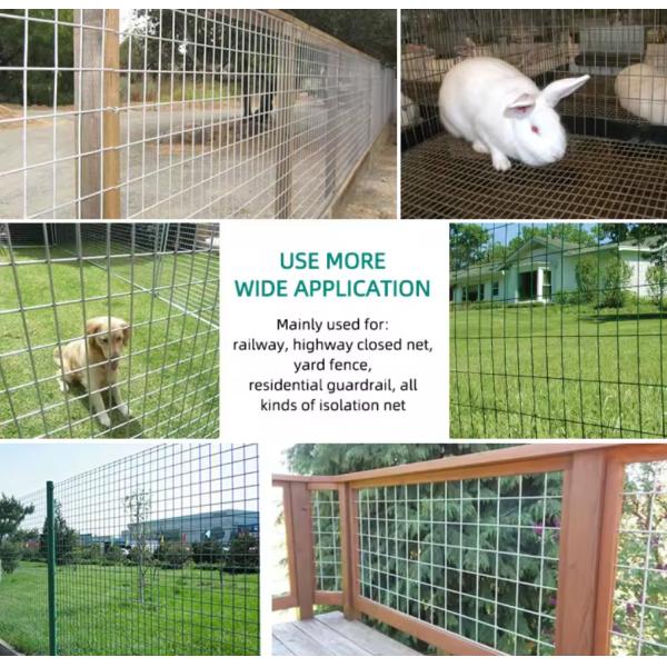 Breeding PVC Coated Wire Mesh Rolls Free Samples Customizable Widths and Weight