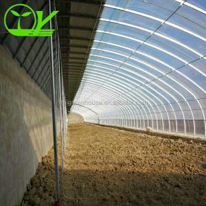 Budget-Friendly Agricultural Plastic Film Greenhouse for Vegetable Fruits