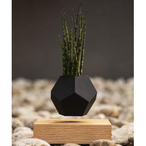 Creative Design Levitation Bonsai ,floating plant pot ,magnetic levitation