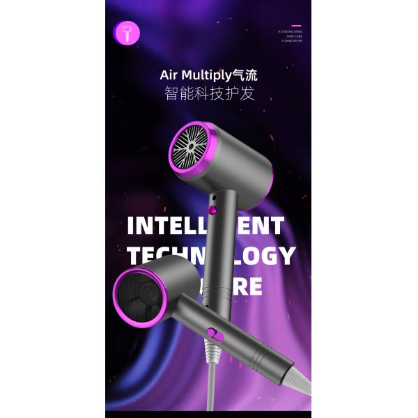 Household Thermostatic Protection Hair Dryer 0.35kg Drying Function Hot and Cold Air