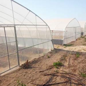 Agricultural High Hoop Arch Polyethylene Film Greenhouse For Planting