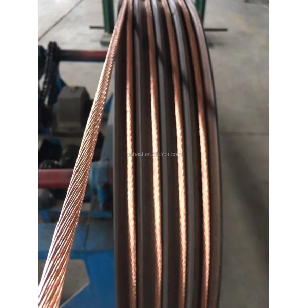 CE Certified 25mm Copper Cable with PVC XLPE PE Insulation for Industrial Use Single Core 4-Core Aluminum Exported South Africa