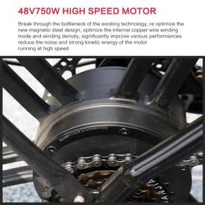 Womens Lithium Battery Electric Bike Intelligent Brushless Controller