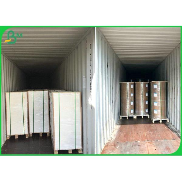 FSC Certified 80gsm - 120 gsm UWF Uncoated Woodfree Paper in reels For bags