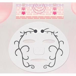 Facial Mask For Ladies Use Micro Current Technology Ion Electric Deep Moisturizi