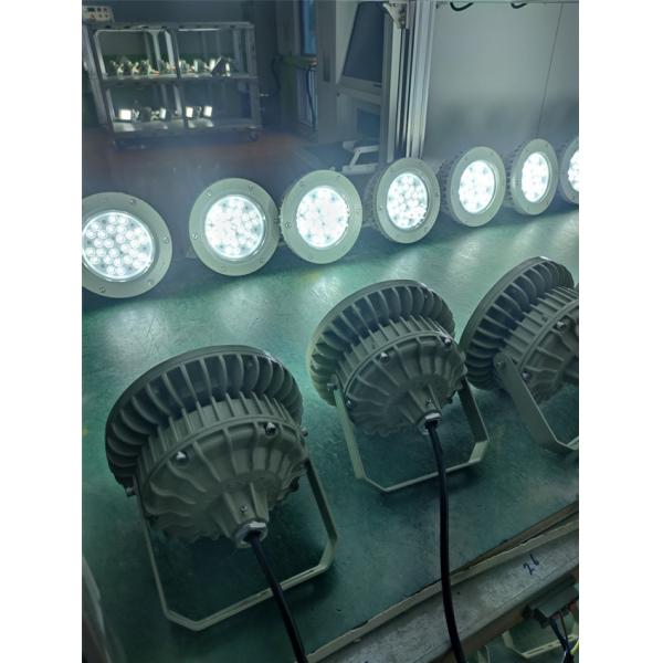 Ex Proof High bay Light 180lm/w ATEX Corrosion Resistant IP66 Led Outdoor Ceiling Light 50W-250W