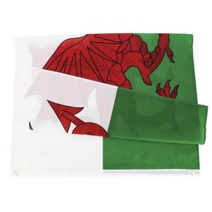 SGS Square Base England Wales Rectangle Banner Flags