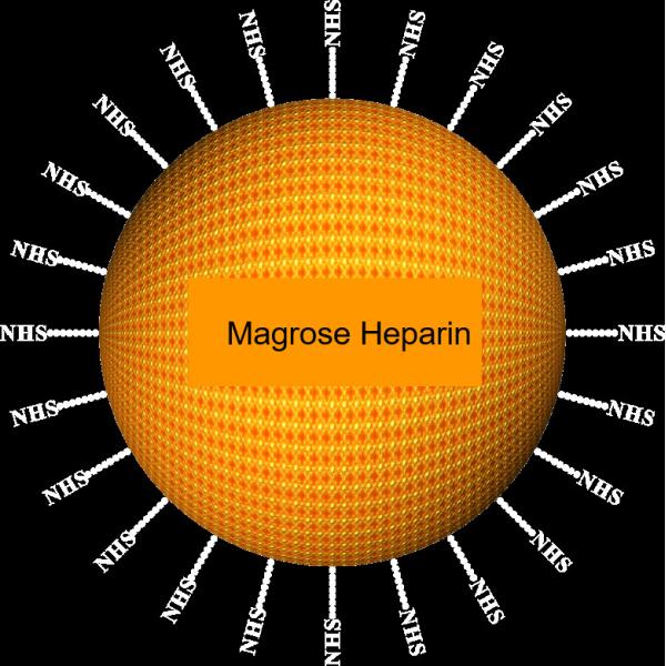 Agarose Heparin Protein Purification Magbeads 30-150 μm, 10% Volume Ratio, 1000