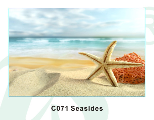 Buy carpet rug floor rug bathroom floor mat at wholesale prices