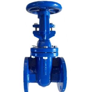 Quality (BS) Cast Iron Gate Valve for sale
