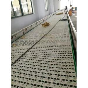                  Food Grade Modular Belt Conveyor System             