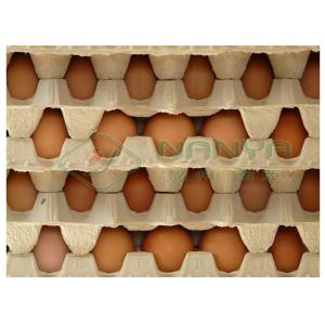 PLC 70mm 30 Holes Egg Tray Pulp Molding Equipment