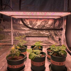 480W Full Spectrum LED Grow Light Samsung LM301B Quantum Board