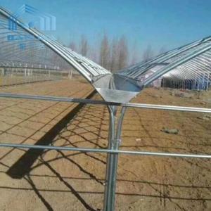 Top Ventilation Multi Span Plastic Tunnel Greenhouse Rustproof