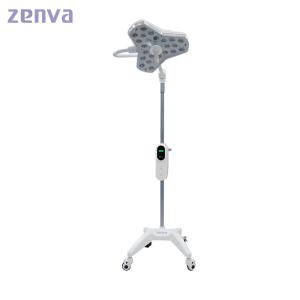 220V 50HZ Surgical Exam Lamp Shadowless Operation Light