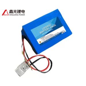 Electric Robot LifePO4 24v 15Ah BMS Power Battery Packs