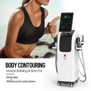 Quality 13 Tesla EMS Muscles Building Machine Intelligent Operating System for sale