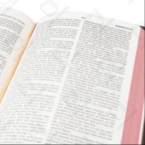 China 36gsm Virgin Wood Fiber And Tenacity Good Priting Bible Paper In Rolls And Sheet on sale