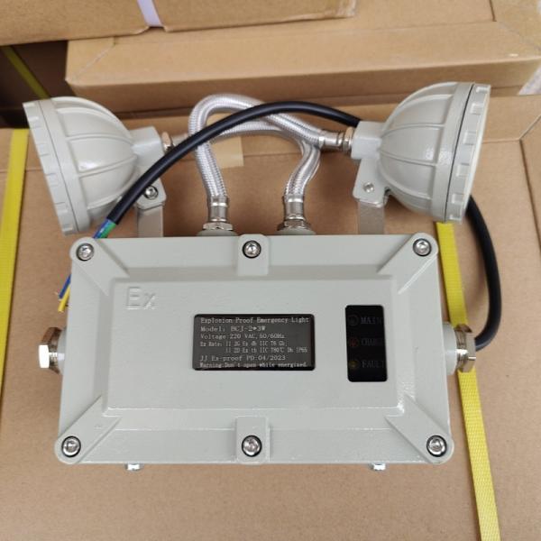 Rechargable Led Explosion Proof Emergency Lights 2*5w Double Head 90 Min