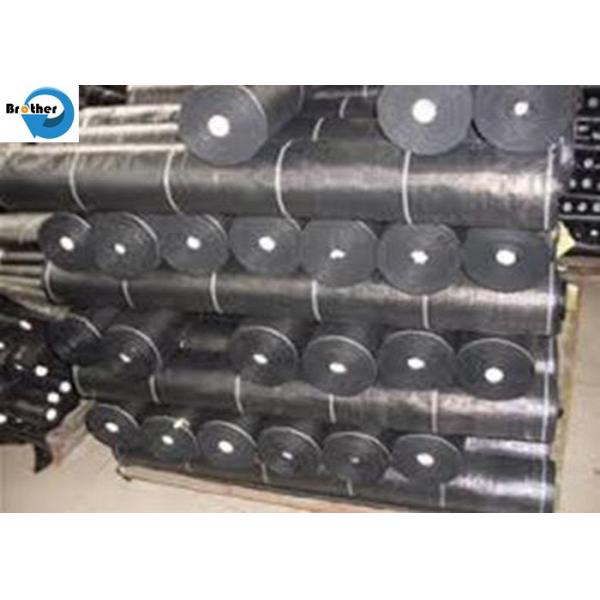 Growing Cucumbers with Spunbond Agriculture Non Woven Cover, Seedling Tomato Weed Control Fabric