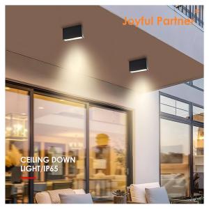 LED Down Light SMD Ceiling Surface Die-casting Aluminum 5w 10w Beam Angle 60