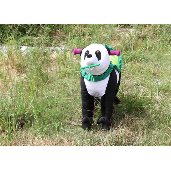 Mixed batch Kids Fitness Trojan / power Gema manufacturers / non-electric