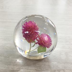 Dry Flower Gear Shift Knob , Dia70mm Clean Dandelion Gear Knob