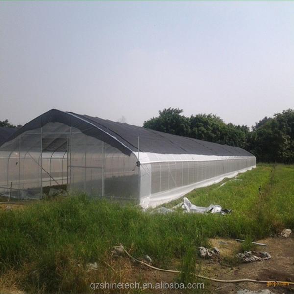 150/200micro Film High Tunnel Agricultural Greenhouse for Tomato Hydroponic Growing