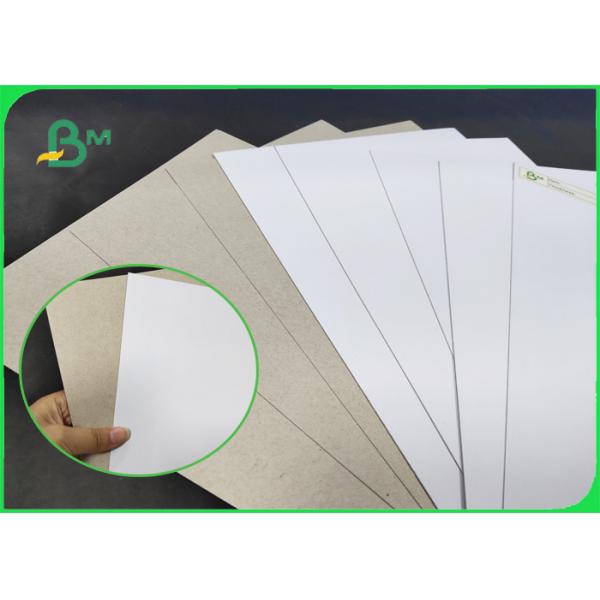 350g 450g C1S Coated Duplex Board High Hardness Grey Back 60 * 90cm For Box