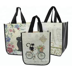 Durable PP Non Woven Bags Silk Screen Printing Foldable With High Bearing Weight