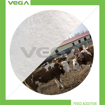 Buy Enrofloxacin China Product with Free Sample at wholesale prices