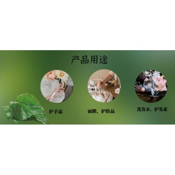 Silk Amino Acid (Silk Essence) Powder: Moisturize Skin & Improve Elasticity