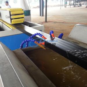 Coextrusion Plastic Profile Machine